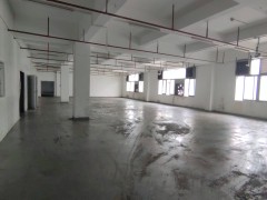 深圳市宝安区福永塘尾新出3楼2300平，3吨货梯，大小可以分租